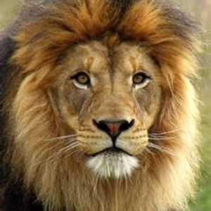 Meet your Posher, Nathaniel